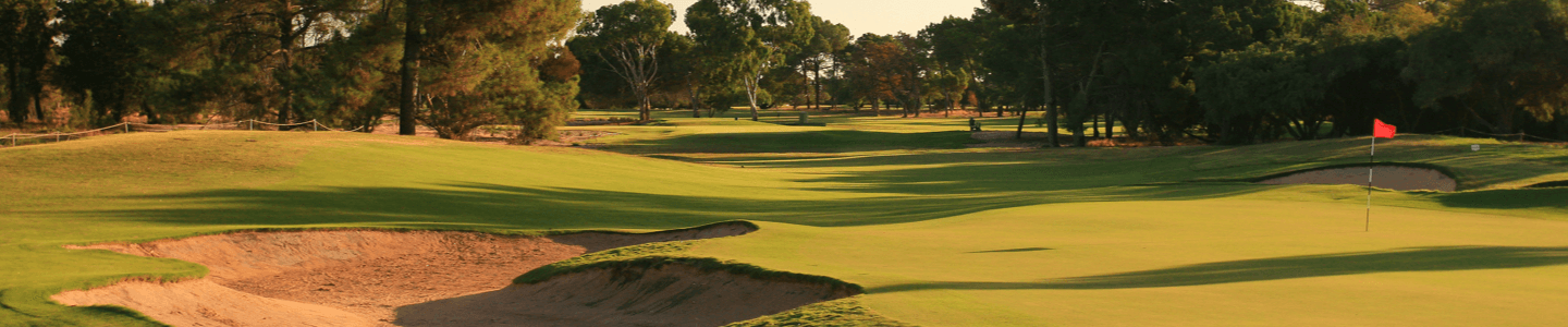 Banner image of golf course